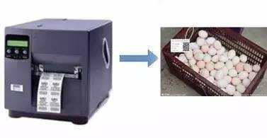 二維碼追溯食品安全，黃埔區(qū)試點推廣應(yīng)用