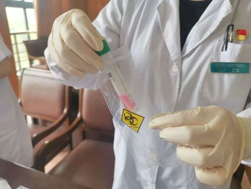 嘉定社區(qū)衛(wèi)生服務(wù)中心 核酸檢測采樣與環(huán)保科技技術(shù)開發(fā)服務(wù)介紹