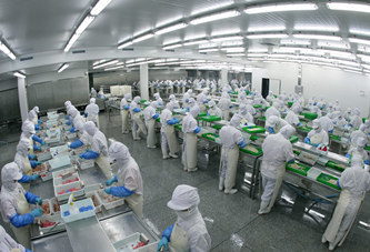 軟排線檢測服務 精細化Sorting與重工復判流程解析